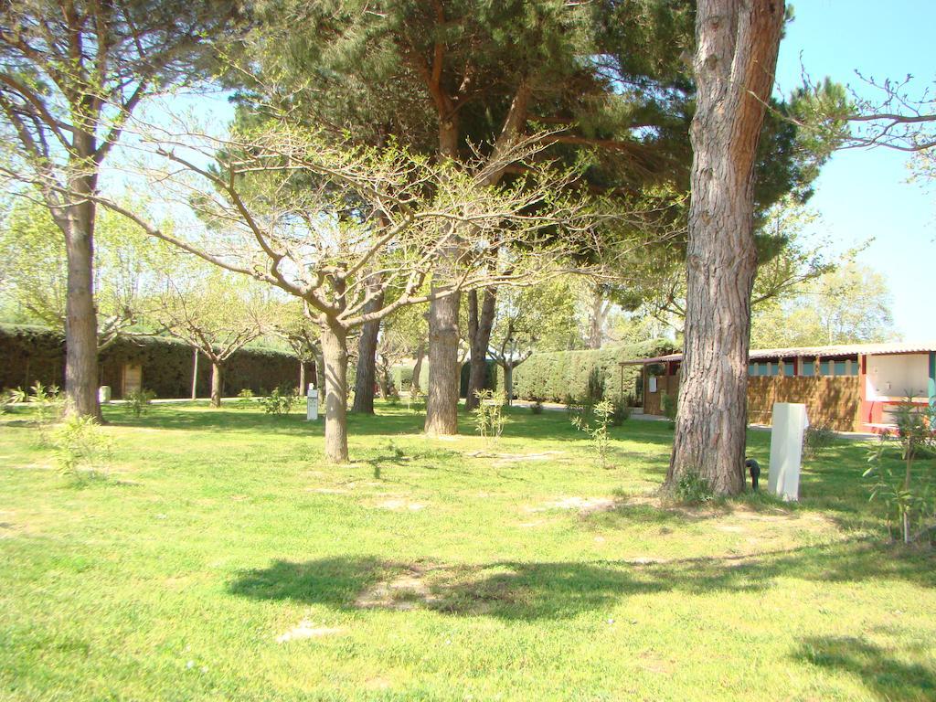 Camping Cap Sud Alénya Exteriör bild